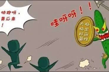 关于山楂那点事儿