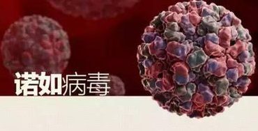 2014年上海福喜过期肉事件
