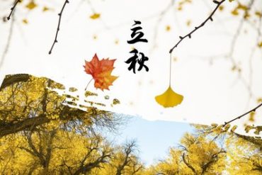 2011年中国台湾饮料塑化剂事件
