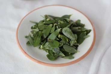 鸡蛋粉是食品添加剂？有营养吗？