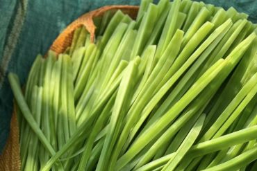 食物与心情：你的餐盘里藏着快乐吗？