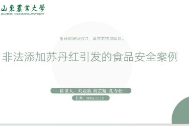 非法添加三聚氰胺引发的食品安全案例