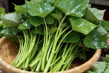 别再白花钱了，这些营养品你吃对了吗？