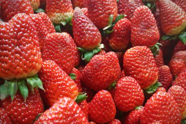 冷米饭真的能减肥吗？